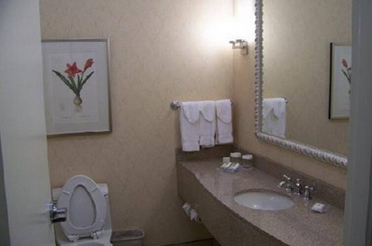 Hotel MSR Suites, Hyderabad 5